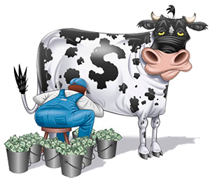 cow_money